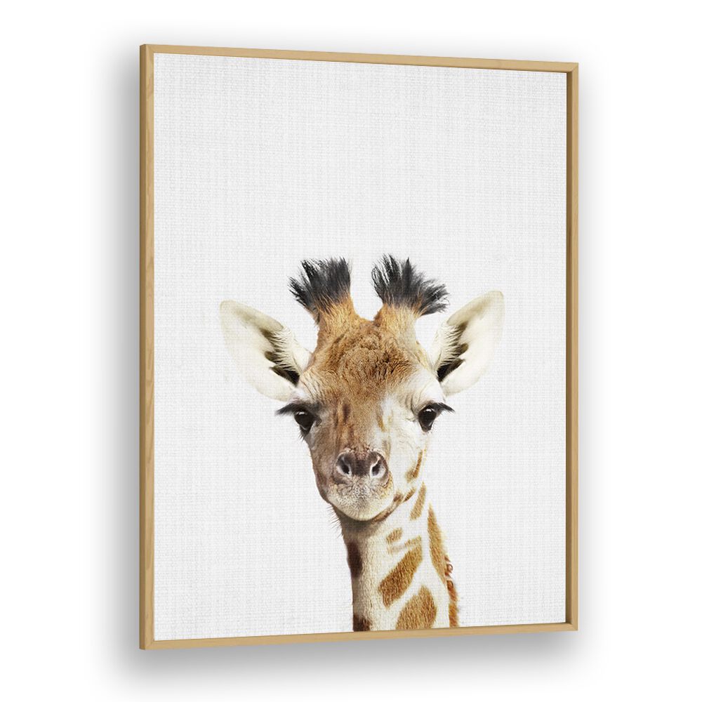 Peekaboo Giraffe By Lola Peacock Kids Room Paintings in Oak Wood Plain Frame