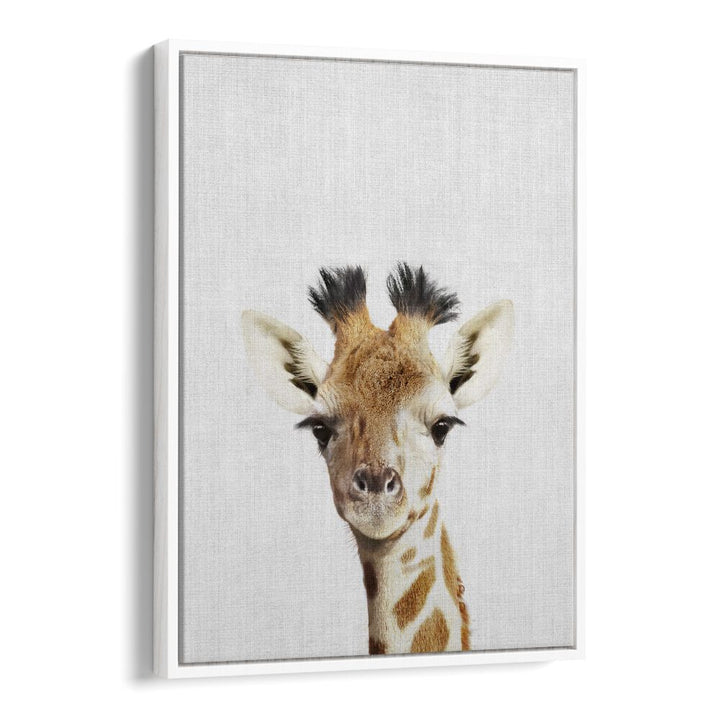 Peekaboo Giraffe By Lola Peacock Kids Room Paintings in White Floater Frame