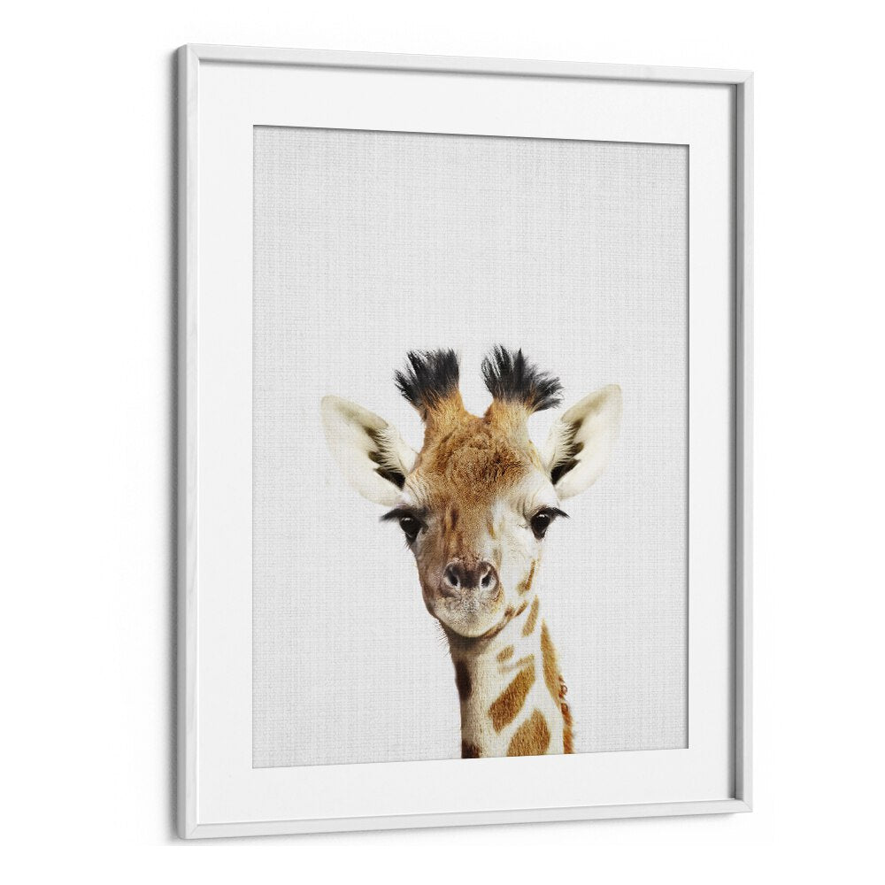 Peekaboo Giraffe By Lola Peacock Kids Room Paintings in White Frame With Mount