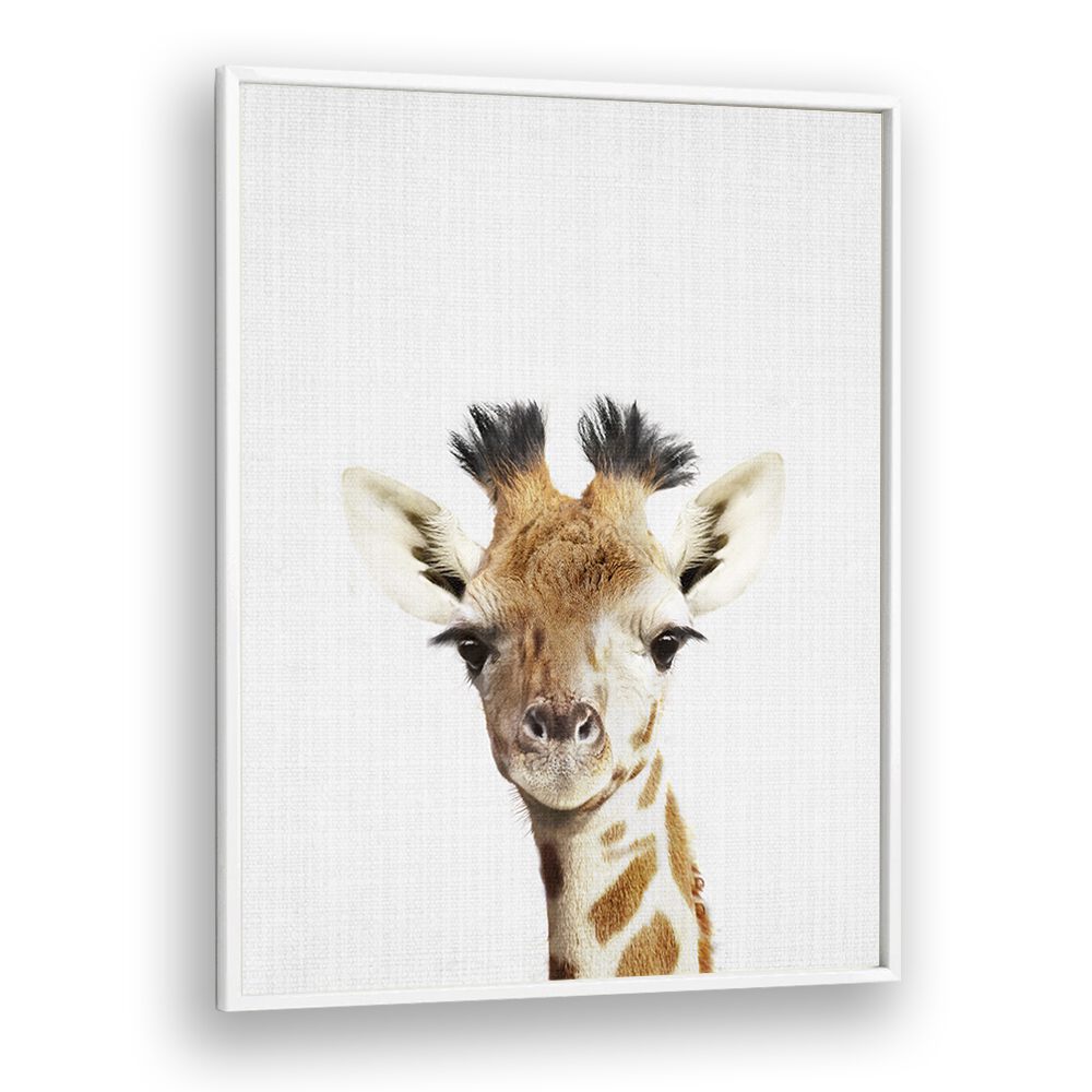 Peekaboo Giraffe By Lola Peacock Kids Room Paintings in White Plain Frame