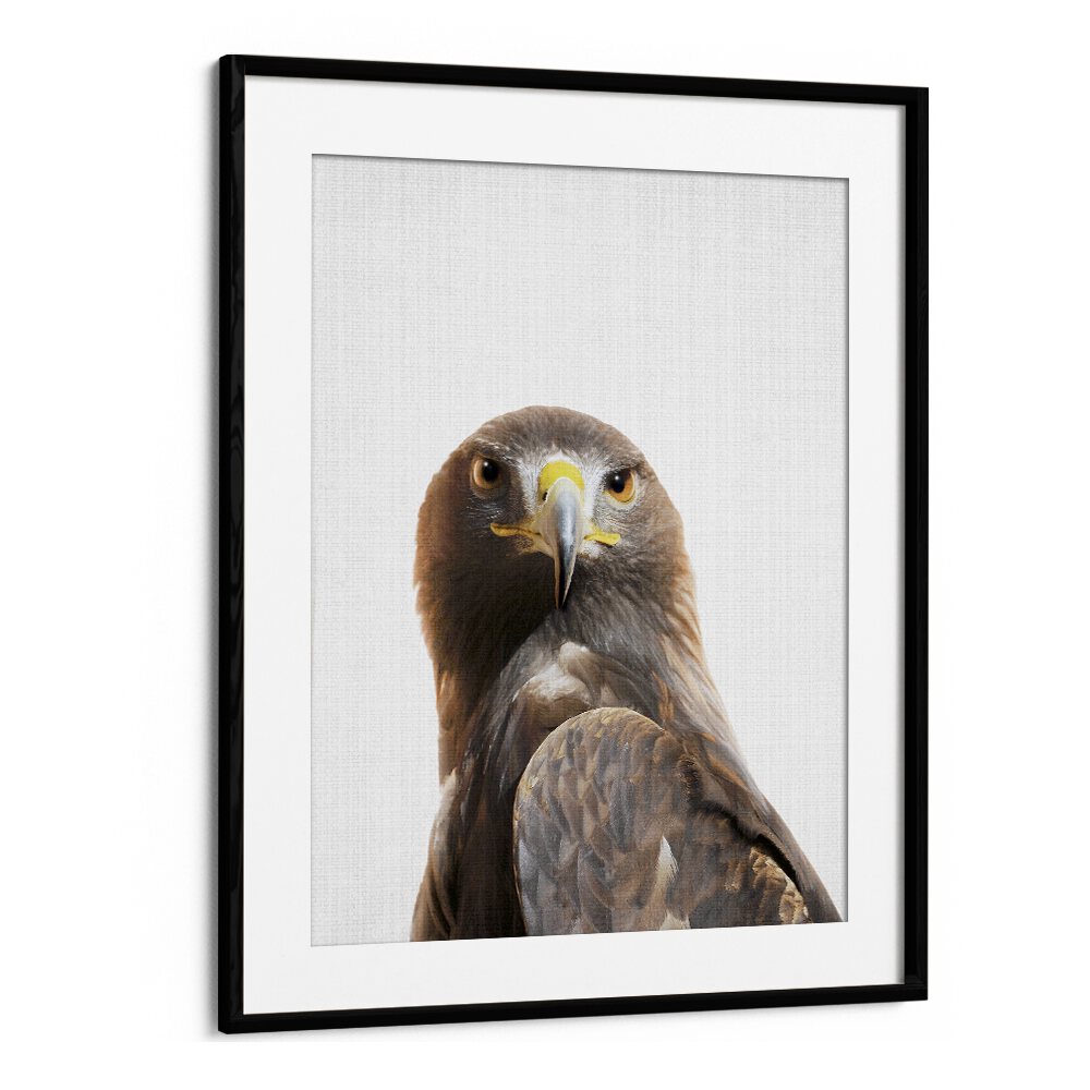 Peekaboo Golden Eagle By Lola Peacock Kids Room Paintings in Black Frame With Mount