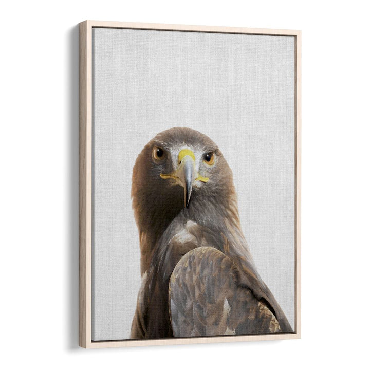 Peekaboo Golden Eagle By Lola Peacock Kids Room Paintings in Oak Wood Floater Frame