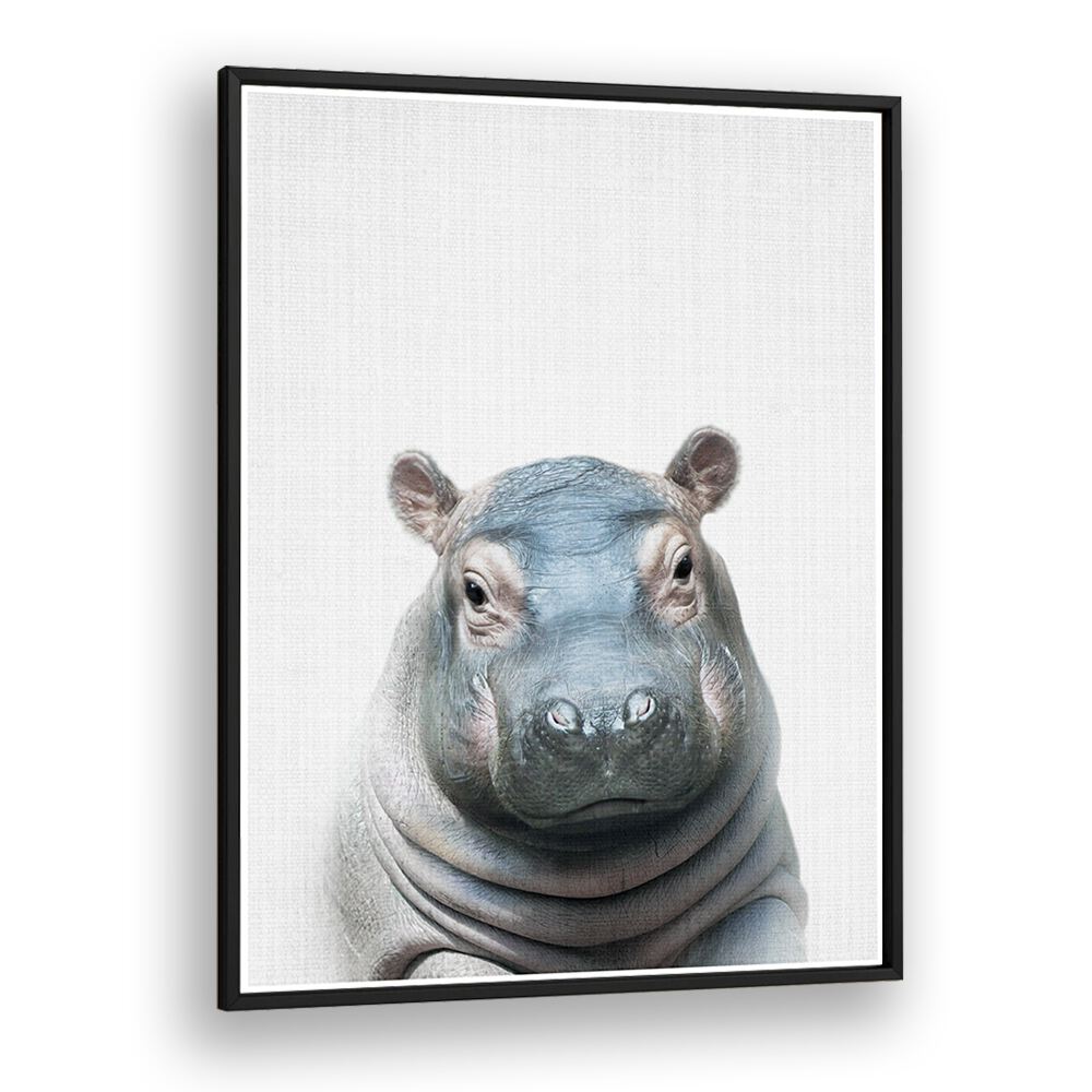 Peekaboo Hippo By Lola Peacock Kids Room Paintings in Black Plain Frame