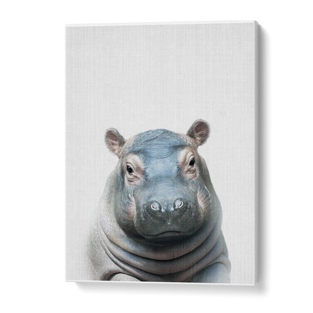 Peekaboo Hippo By Lola Peacock Kids Room Paintings in Gallery Wrap