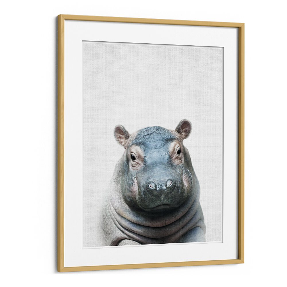 Peekaboo Hippo By Lola Peacock Kids Room Paintings in Oak Wood Frame With Mount