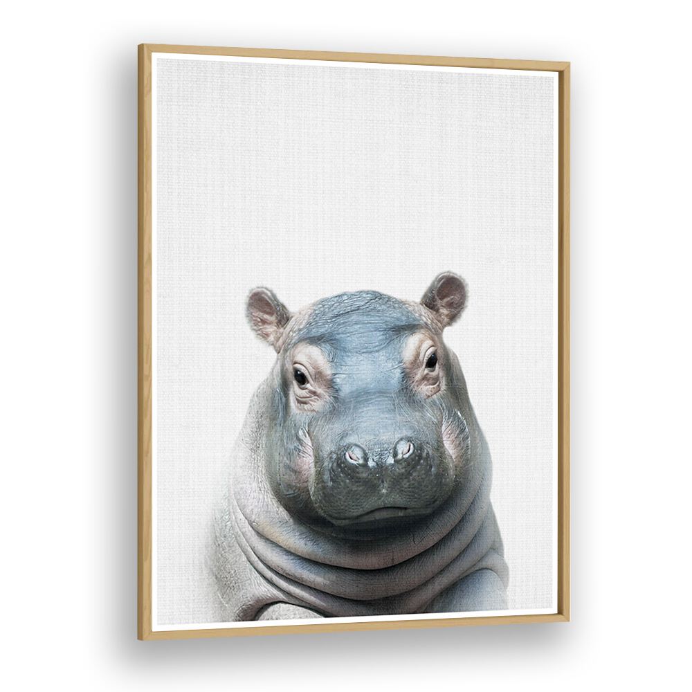 Peekaboo Hippo By Lola Peacock Kids Room Paintings in Oak Wood Plain Frame