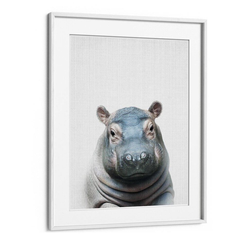 Peekaboo Hippo By Lola Peacock Kids Room Paintings in White Frame With Mount