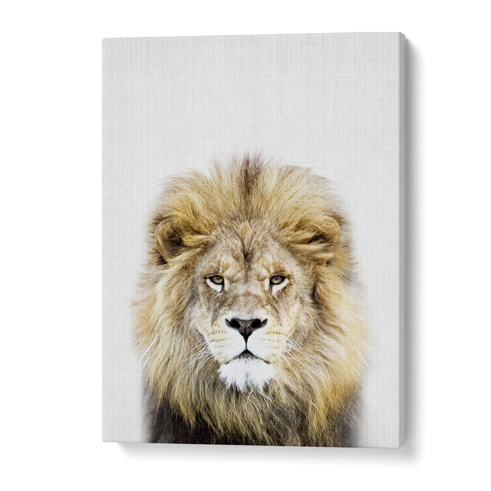 Peekaboo Lion By Lola Peacock Kids Room Paintings in Gallery Wrap