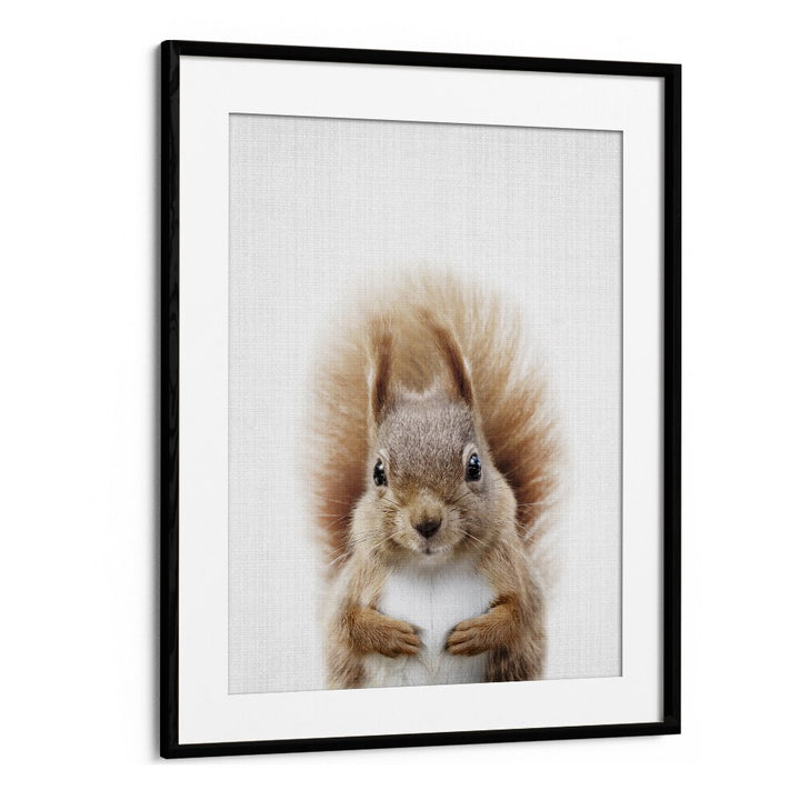 Peekaboo Squirrel By Lola Peacock Kids Room Paintings in Black Frame With Mount