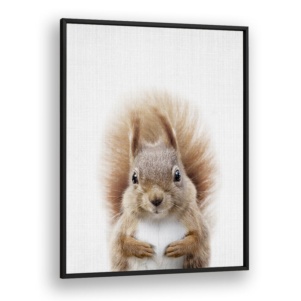 Peekaboo Squirrel By Lola Peacock Kids Room Paintings in Black Plain Frame