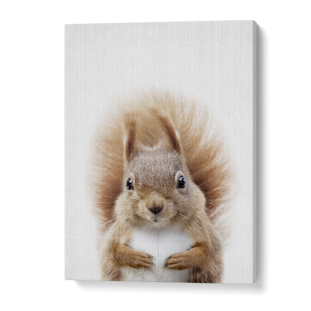 Peekaboo Squirrel By Lola Peacock Kids Room Paintings in Gallery Wrap