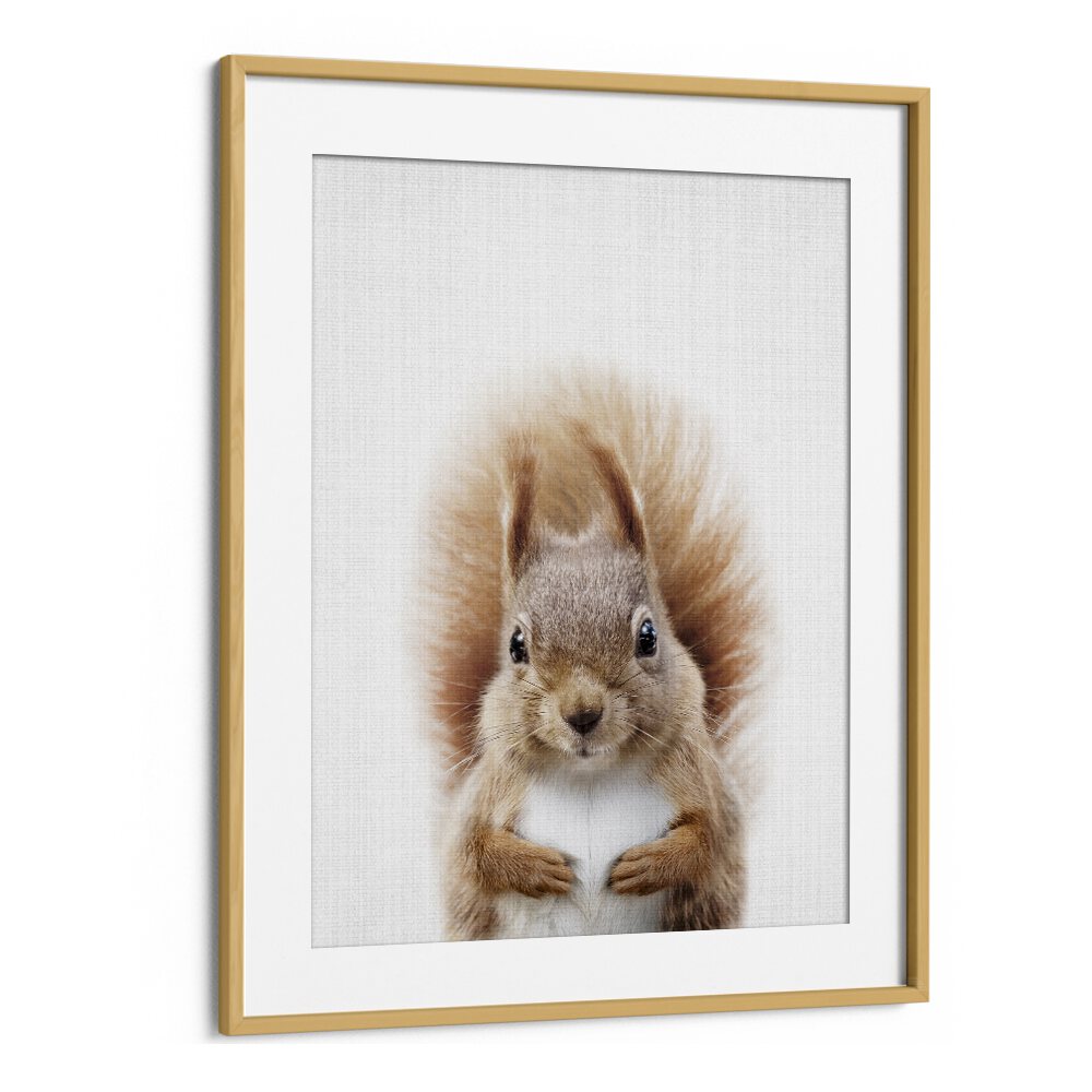 Peekaboo Squirrel By Lola Peacock Kids Room Paintings in Oak Wood Frame With Mount