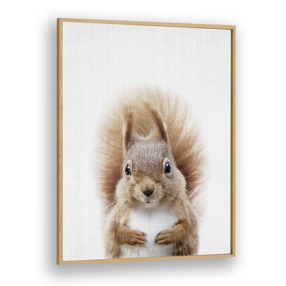 Peekaboo Squirrel By Lola Peacock Kids Room Paintings in Oak Wood Plain Frame