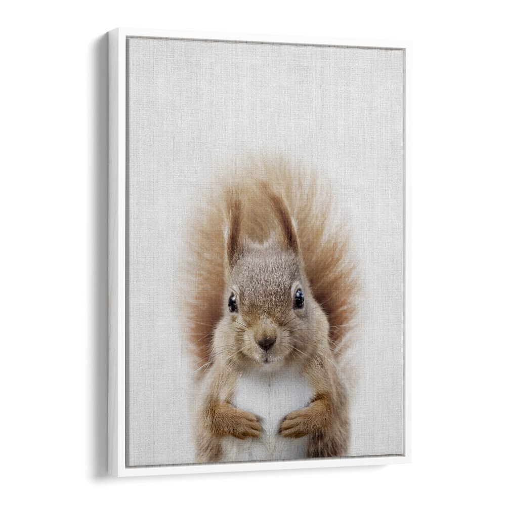 Peekaboo Squirrel By Lola Peacock Kids Room Paintings in White Floater Frame