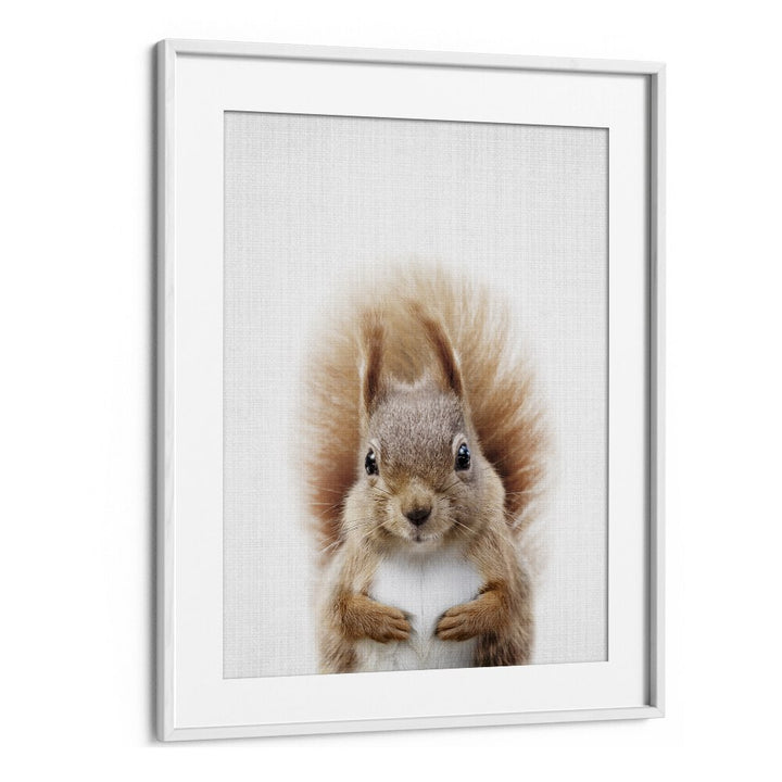 Peekaboo Squirrel By Lola Peacock Kids Room Paintings in White Frame With Mount