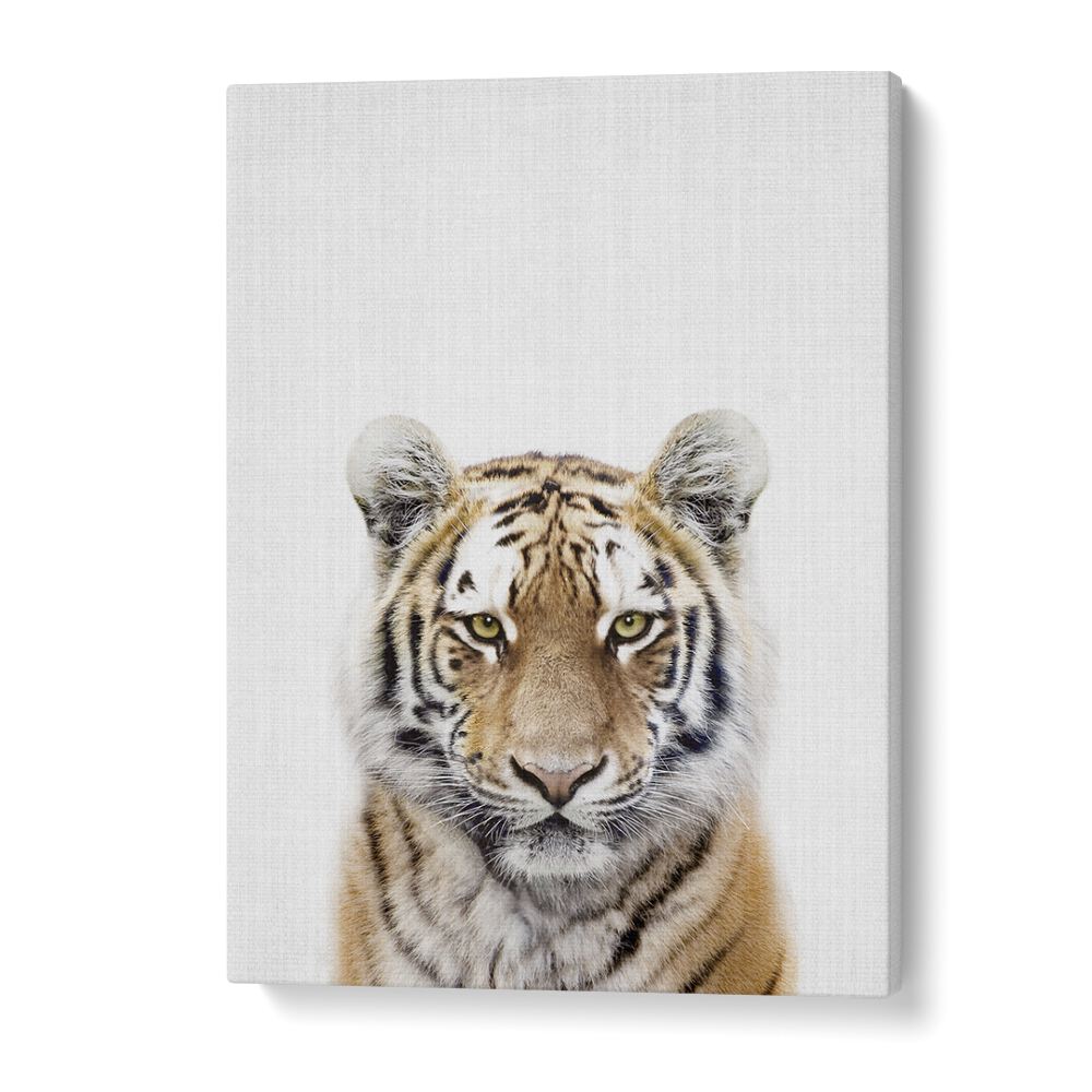 Peekaboo Tiger By Lola Peacock Kids Room Paintings in Gallery Wrap