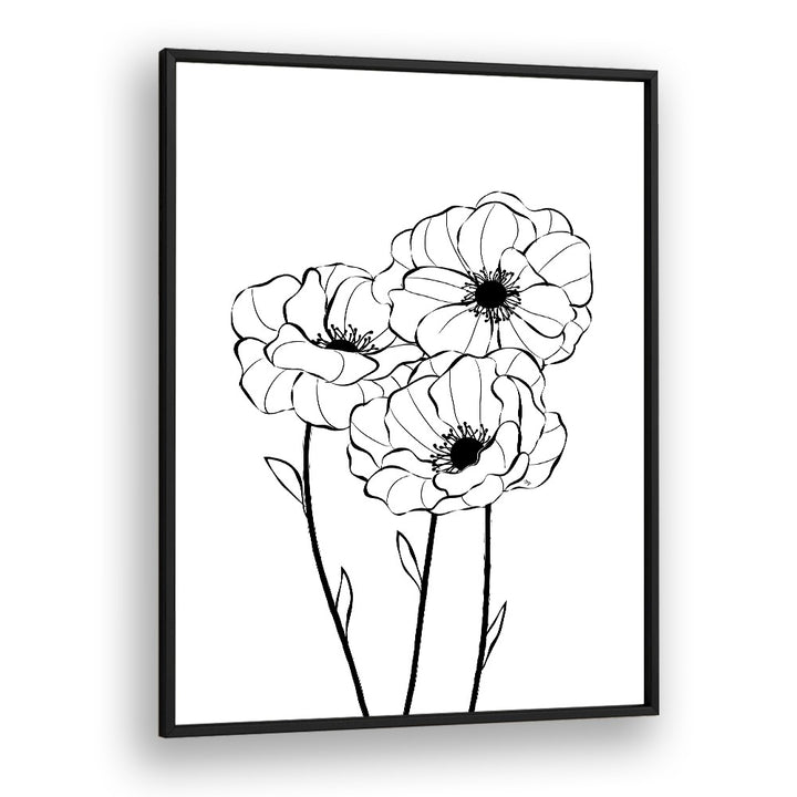 Poppies by Martina Line Art Paintings in Black Plain Frame