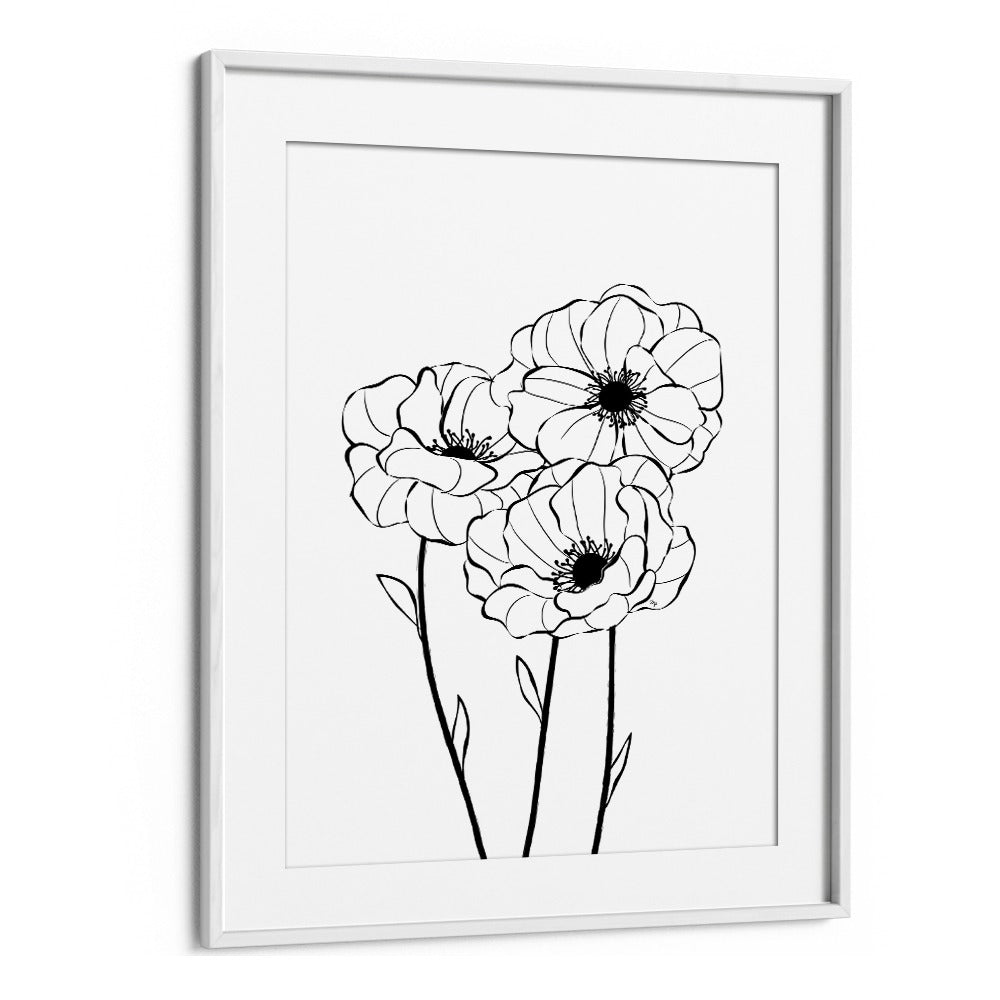 Poppies by Martina Line Art Paintings in White Frame With Mount