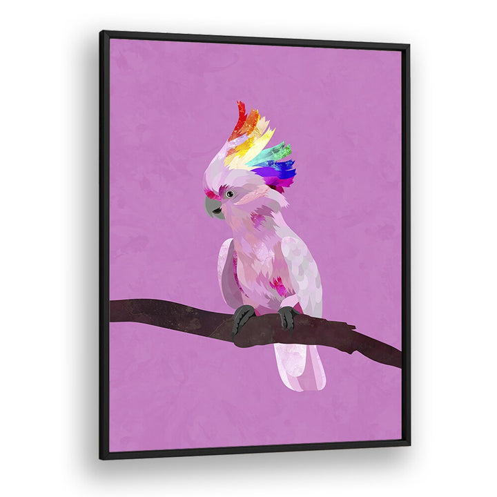 Pride Galah By Sarah Manovski Wildlife Art Print in Black Plain Frame