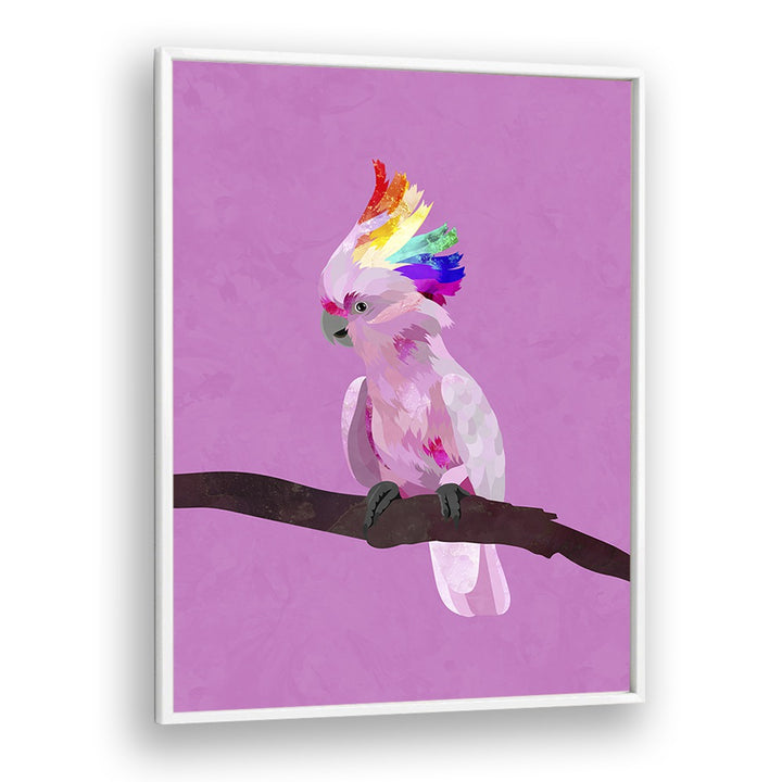 Pride Galah By Sarah Manovski Wildlife Art Print in White Plain Frame