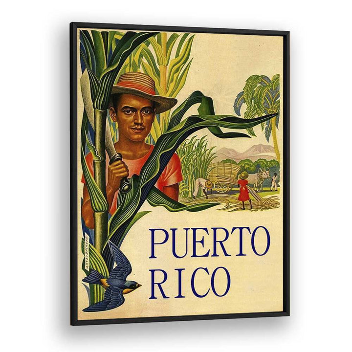 Puerto Rico  Travel Posters in Black Plain Frame