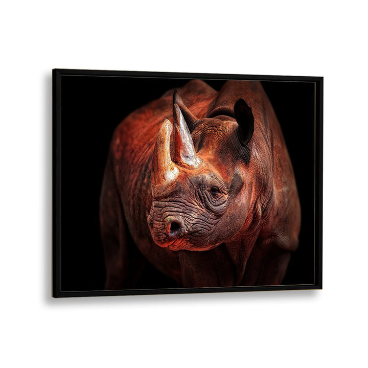 RHINO POSING WILDLIFE PHOTOGRAPHY in Black Plain Frame