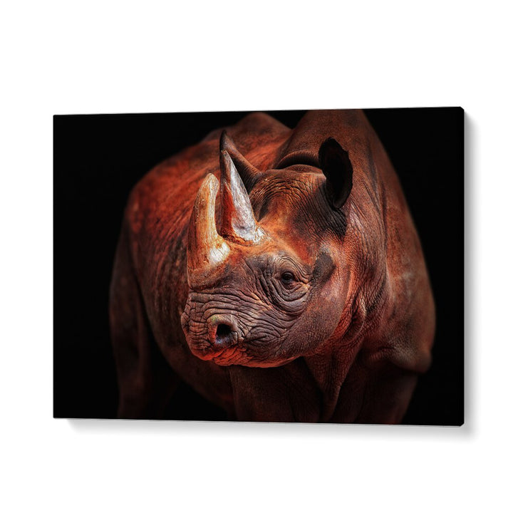 RHINO POSING WILDLIFE PHOTOGRAPHY in Gallery Wrap