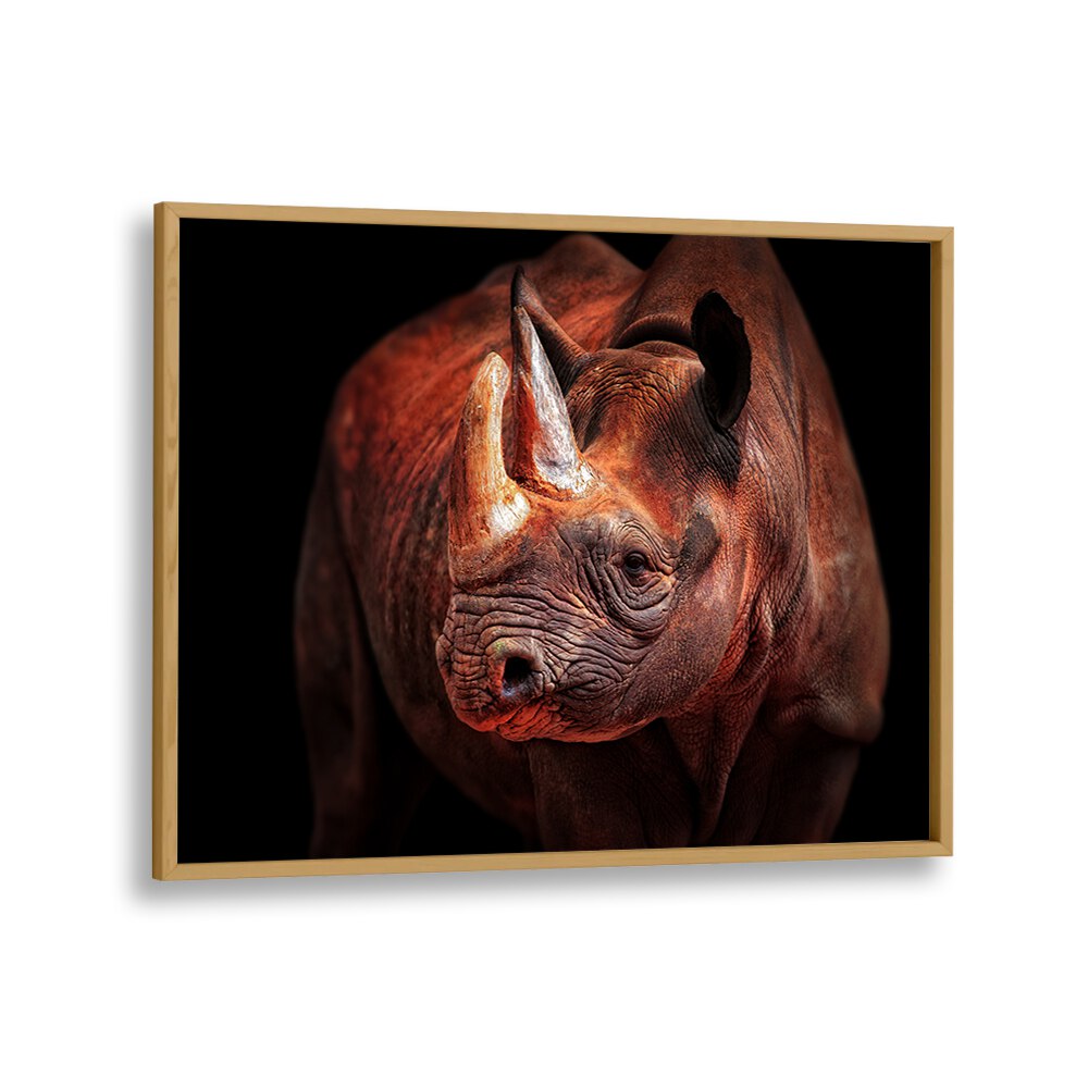 RHINO POSING WILDLIFE PHOTOGRAPHY in Oak Wood Plain Frame