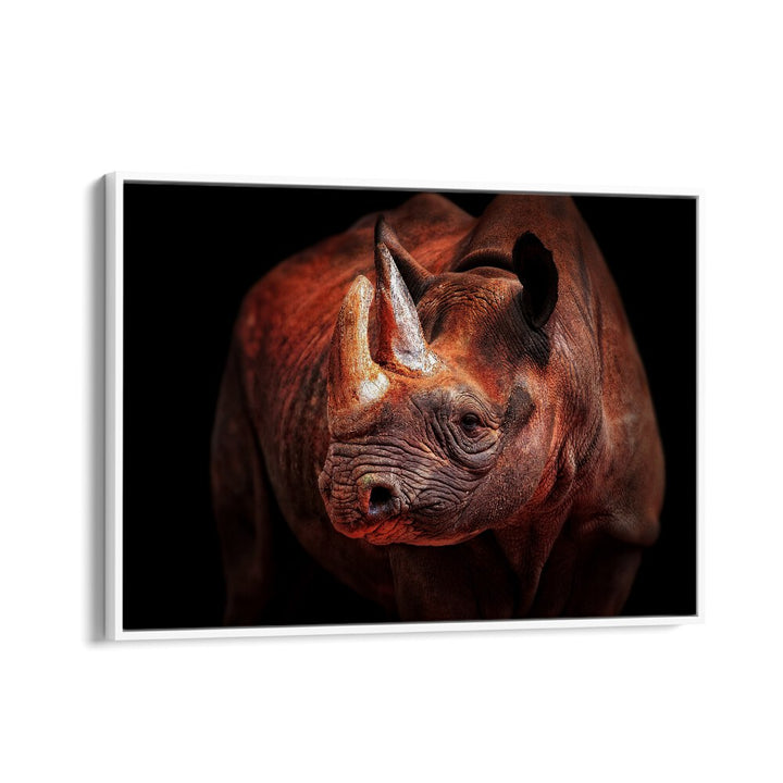 RHINO POSING WILDLIFE PHOTOGRAPHY in White Floater Frame