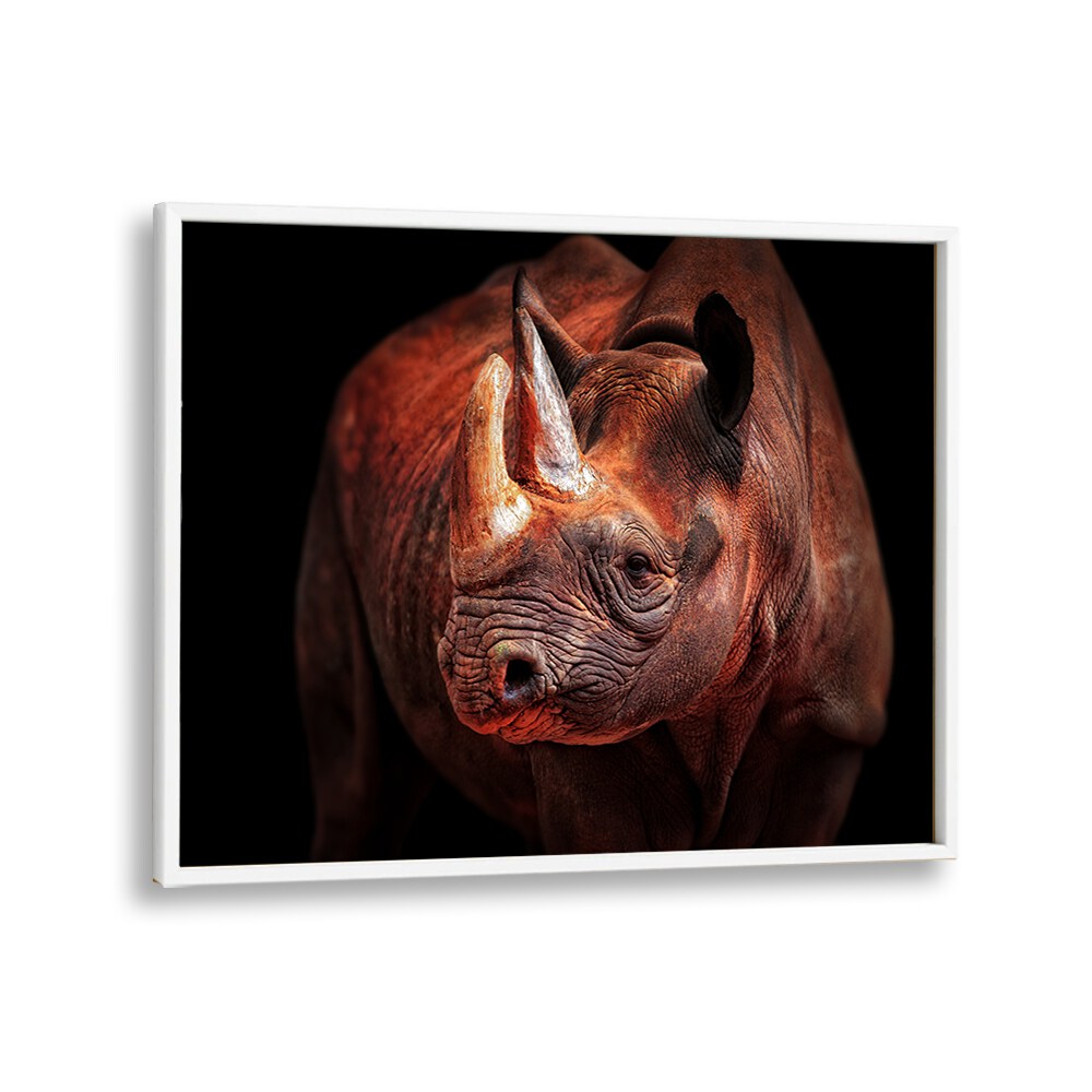 RHINO POSING WILDLIFE PHOTOGRAPHY in White Plain Frame