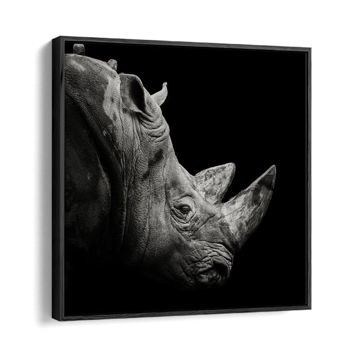 RHINO WILDLIFE PHOTOGRAPHY in Black Floater Frame