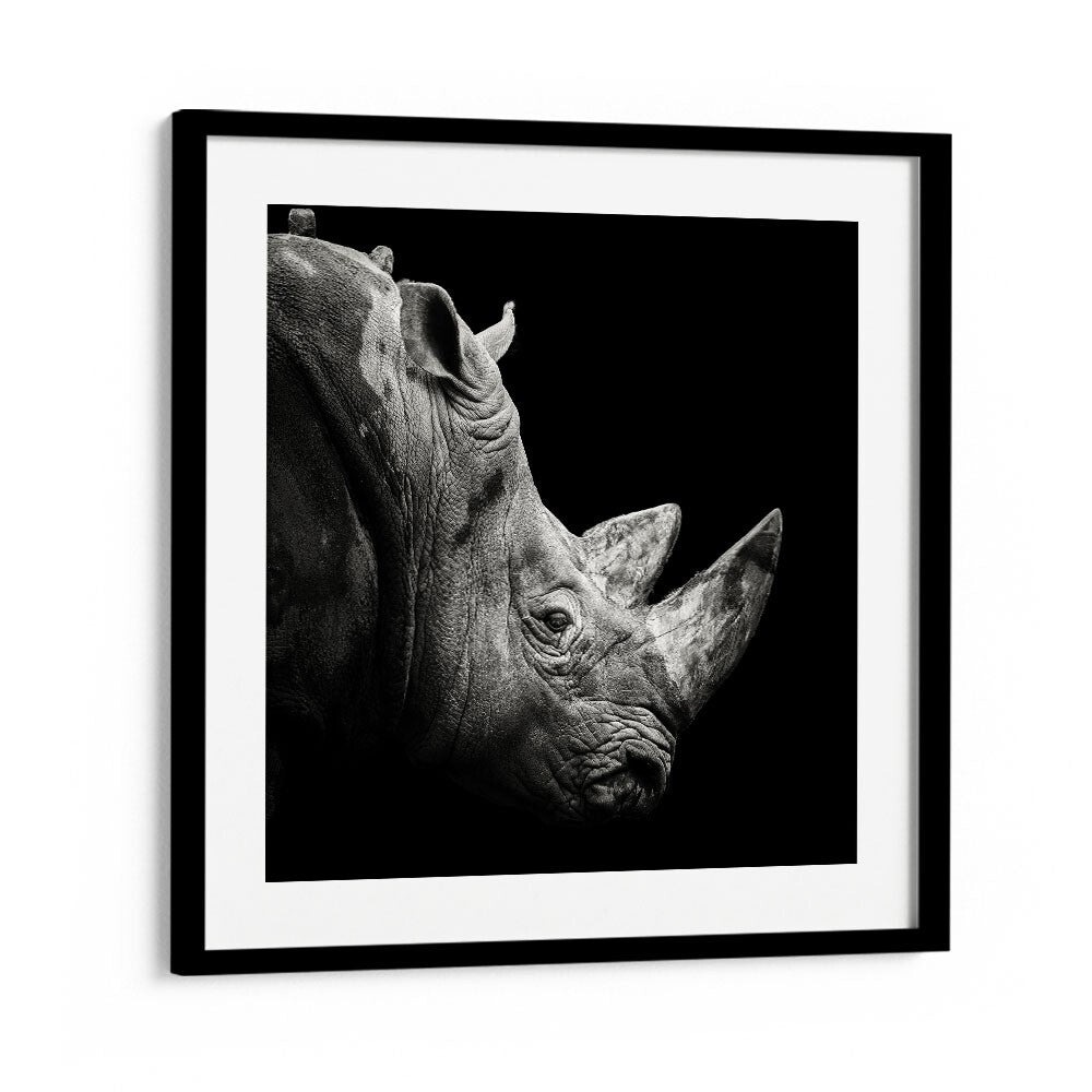 RHINO WILDLIFE PHOTOGRAPHY in Black Frame With Mount