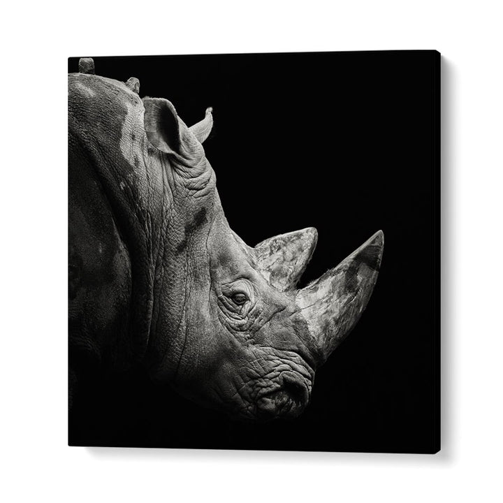 RHINO WILDLIFE PHOTOGRAPHY in Gallery Wrap