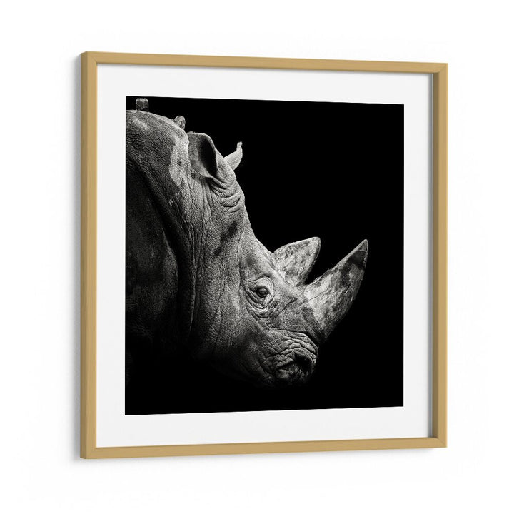 RHINO WILDLIFE PHOTOGRAPHY in Oak Wood Frame With Mount