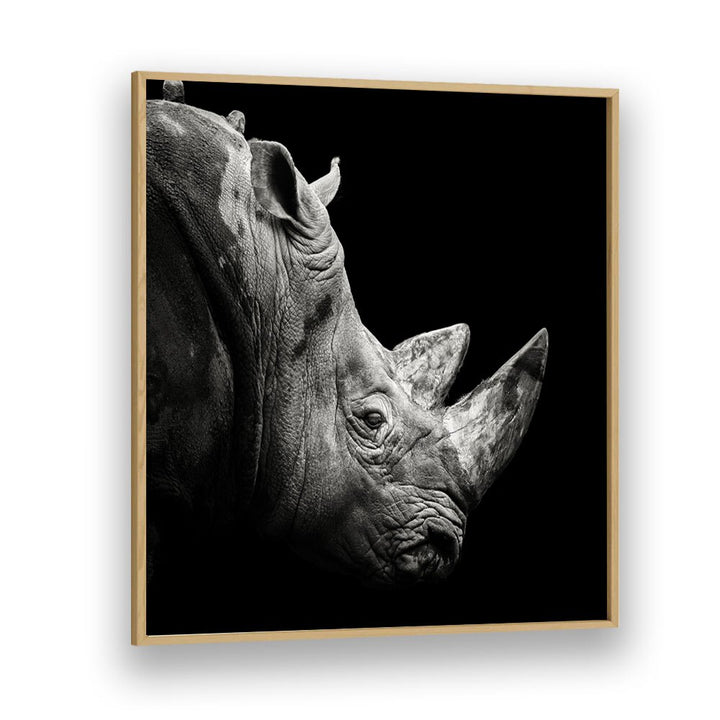 RHINO WILDLIFE PHOTOGRAPHY in Oak Wood Plain Frame