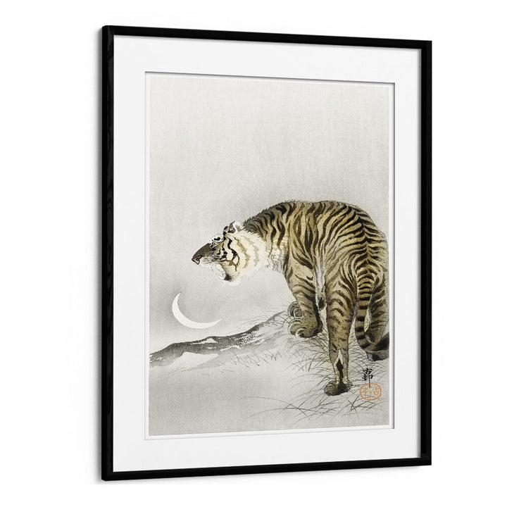 Roaring Tiger (1900-1945) By Ohara Koson Japanese Art Artwork in Black Frame With Mount