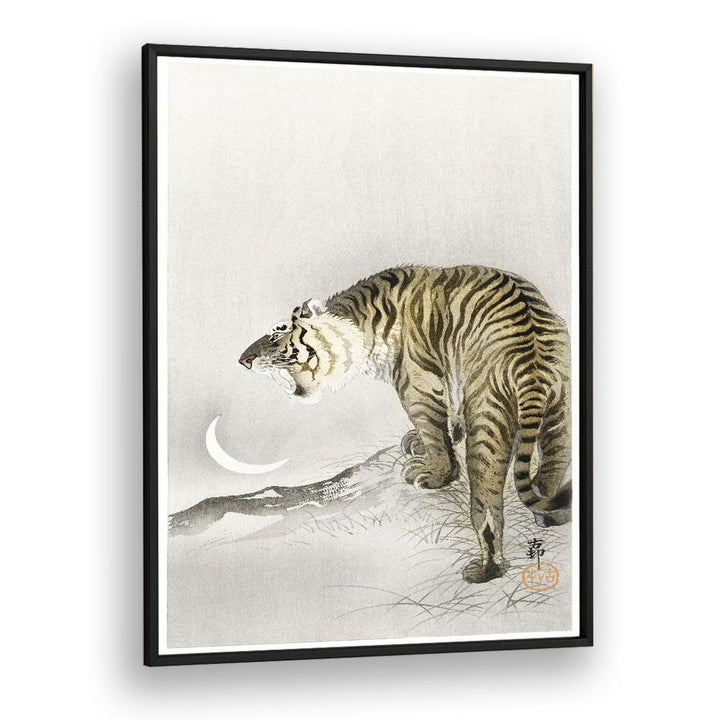 Roaring Tiger (1900-1945) By Ohara Koson Japanese Art Artwork in Black Plain Frame