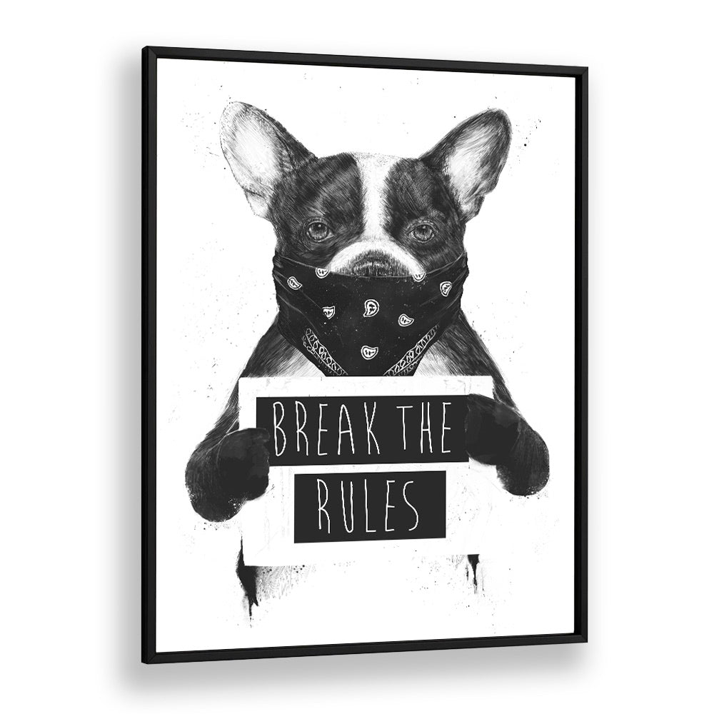 Rebel Dog By Balazs Solti Wildlife Art Prints in Black Floater Frame