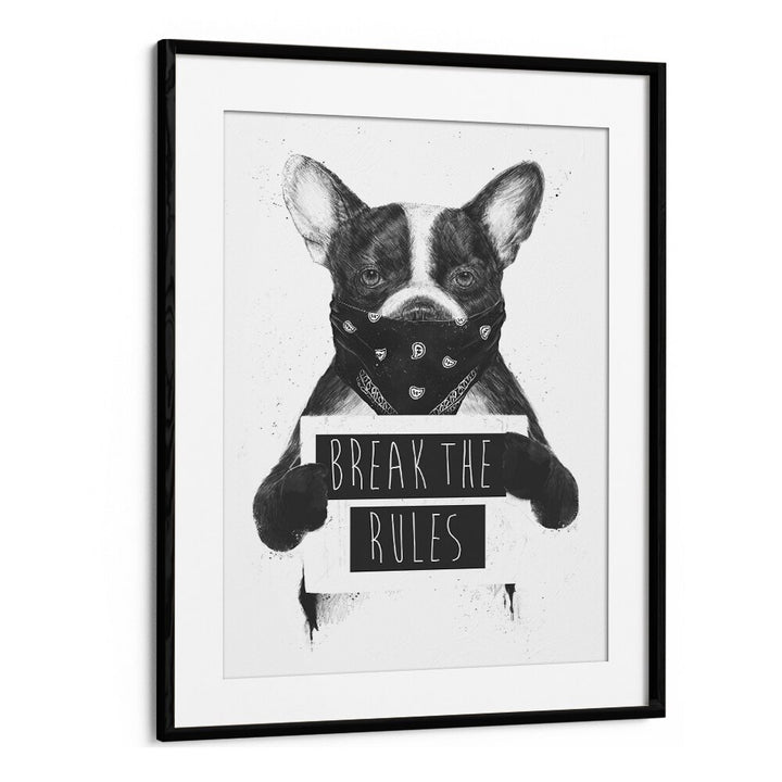 Rebel Dog By Balazs Solti Wildlife Art Prints in Black Frame With Mount