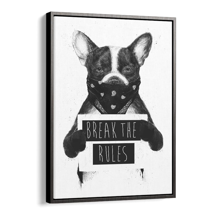 Rebel Dog By Balazs Solti Wildlife Art Prints in Black Plain Frame