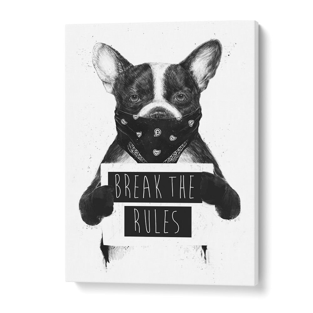 Rebel Dog By Balazs Solti Wildlife Art Prints in Gallery Wrap