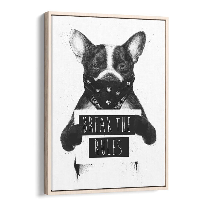 Rebel Dog By Balazs Solti Wildlife Art Prints in Oak Wood Floater Frame