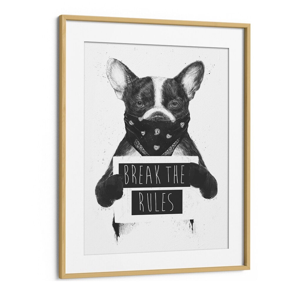 Rebel Dog By Balazs Solti Wildlife Art Prints in Oak Wood Frame With Mount