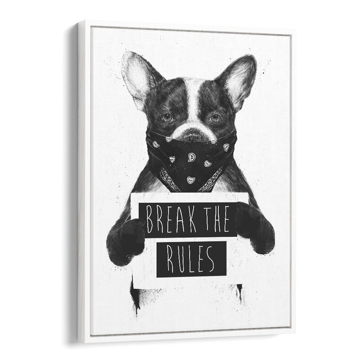 Rebel Dog By Balazs Solti Wildlife Art Prints in White Floater Frame