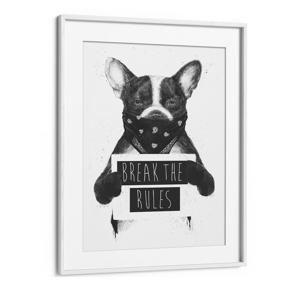 Rebel Dog By Balazs Solti Wildlife Art Prints in White Frame With Mount