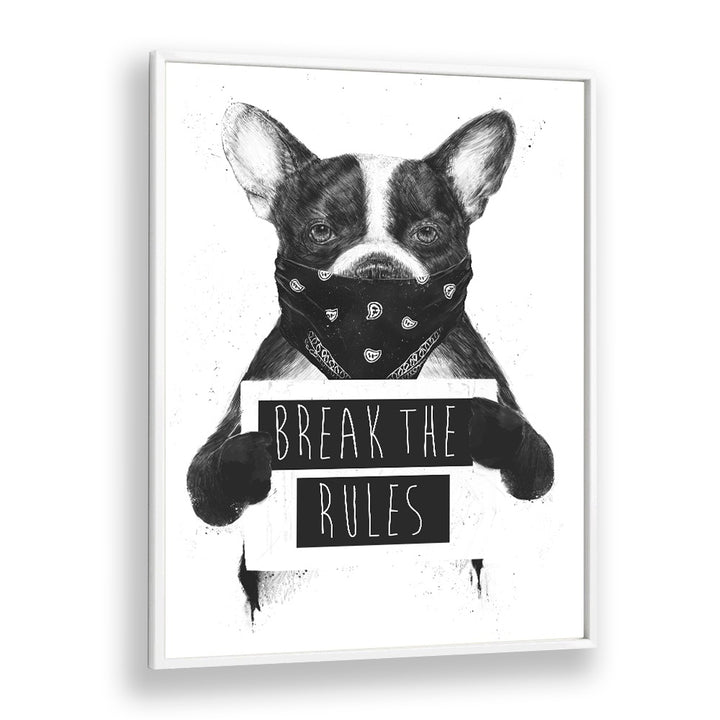 Rebel Dog By Balazs Solti Wildlife Art Prints in White Plain Frame