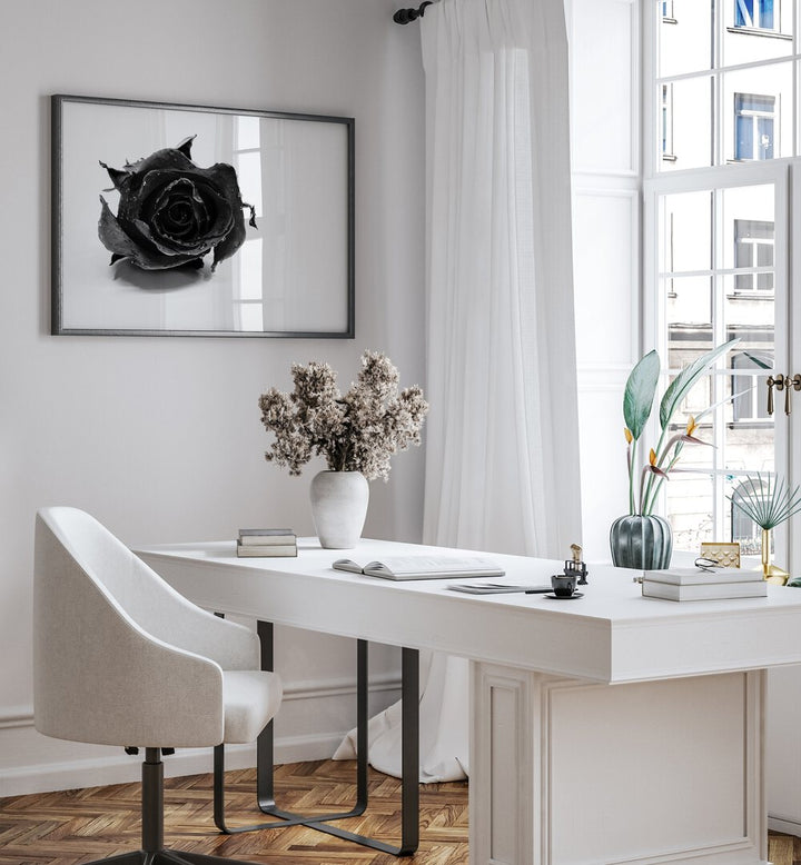 Rose Noir by David Drake Fine Art Photography Fashion Photography in Black Plain Frame placed on a wall in a office space beside a table and a window