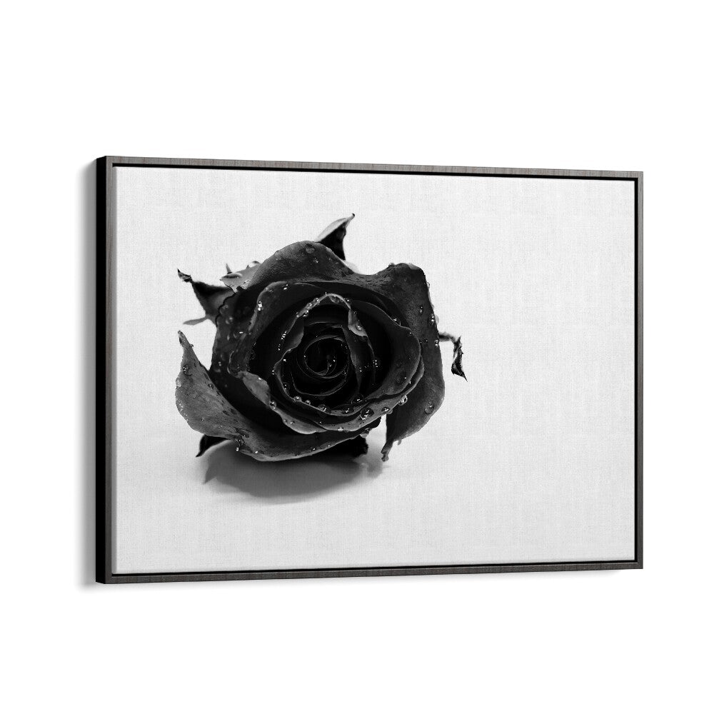 Rose Noir by David Drake Fine Art Photography Fashion Photography in Black Floater Frame