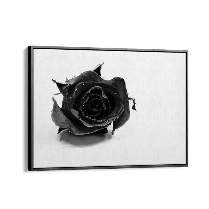 Rose Noir by David Drake Fine Art Photography Fashion Photography in Black Floater Frame