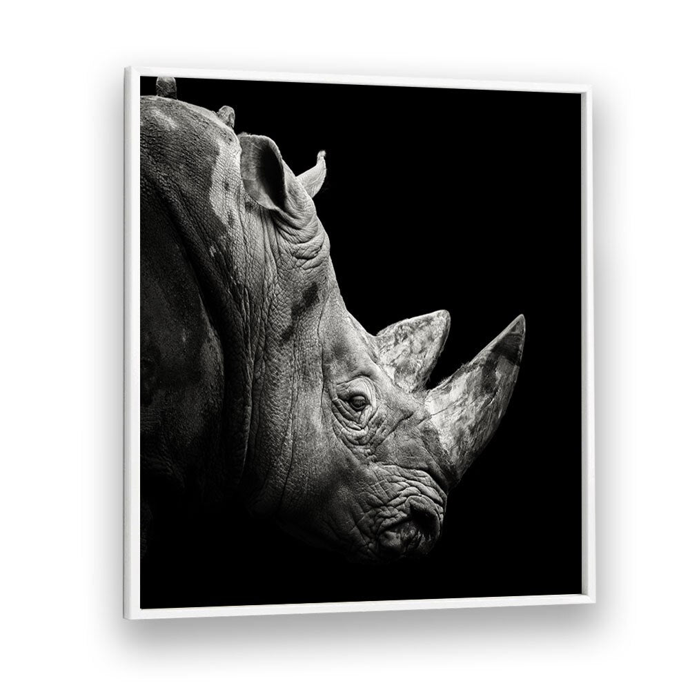 RHINO MOVIE POSTERS in White Plain Frame